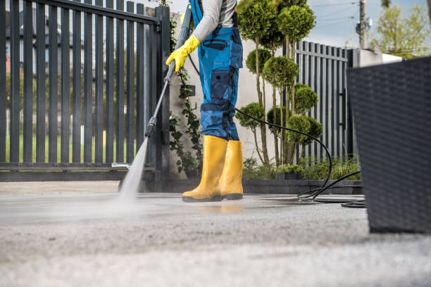 Best Pool Deck Cleaning  in Dent, OH